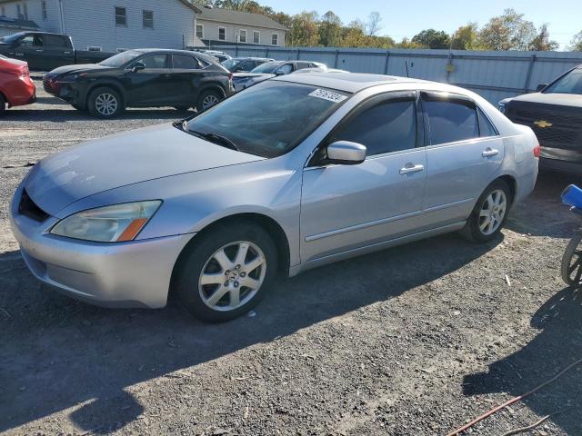 honda accord ex 2005 1hgcm66555a029441