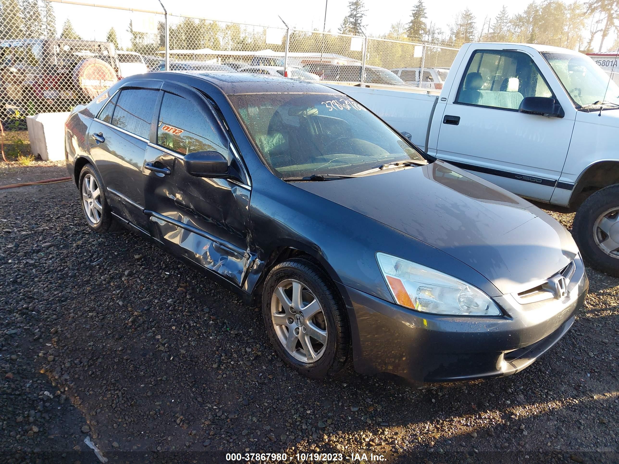 honda accord 2005 1hgcm66555a044523