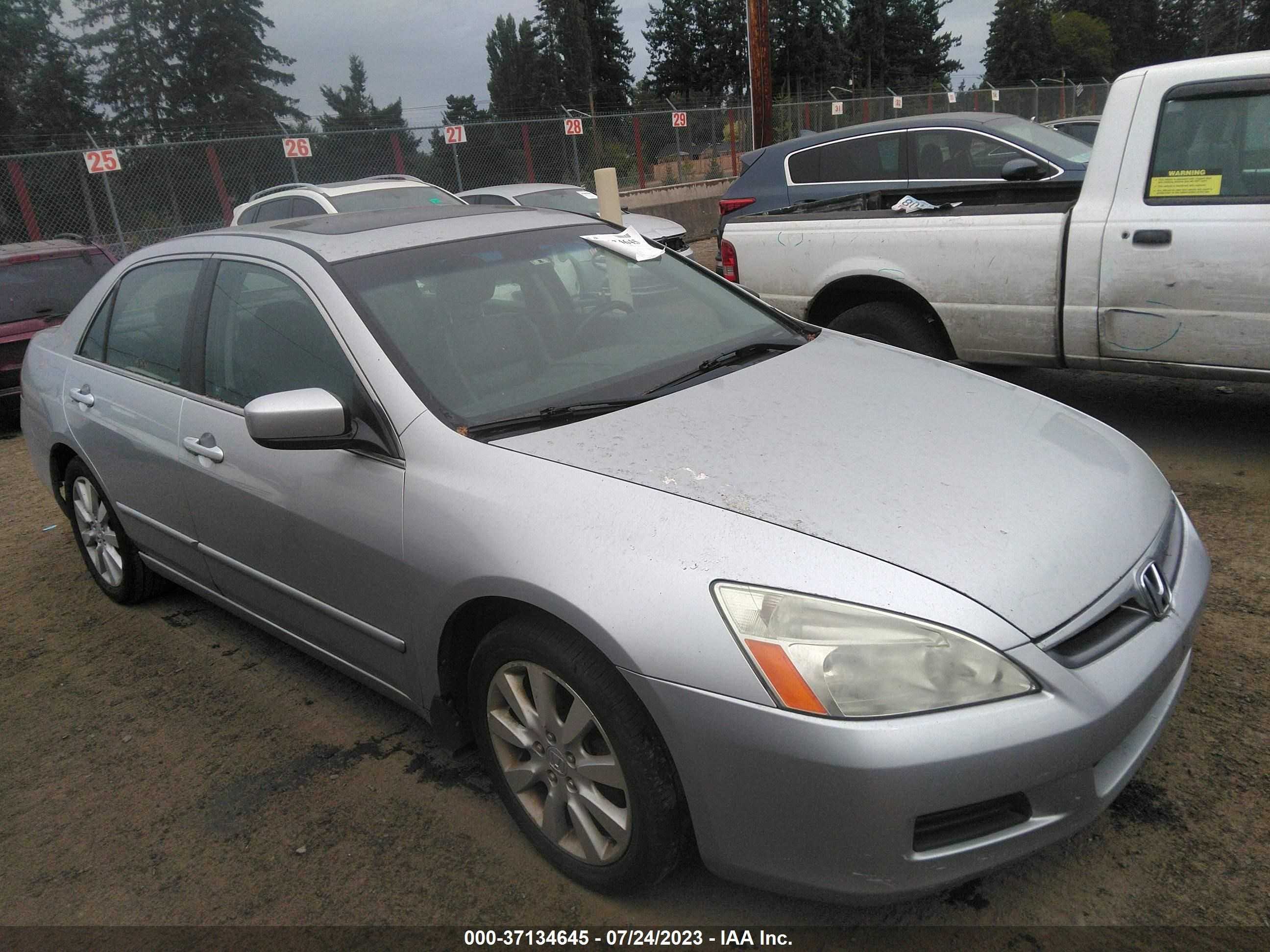 honda accord 2006 1hgcm66556a000569