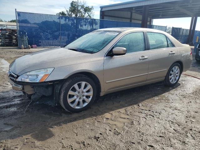 honda accord 2006 1hgcm66556a056978