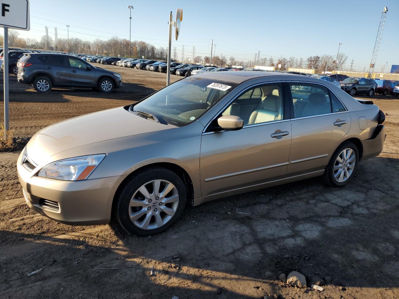 honda accord 2007 1hgcm66557a062569