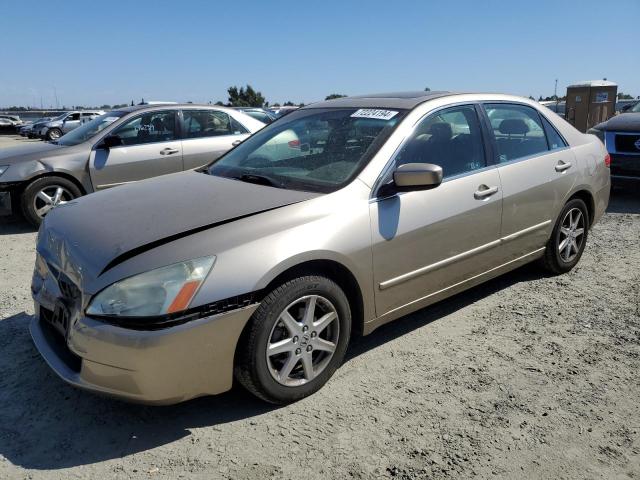 honda accord ex 2003 1hgcm66563a065443