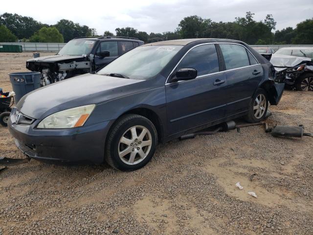 honda accord ex 2005 1hgcm66565a028198