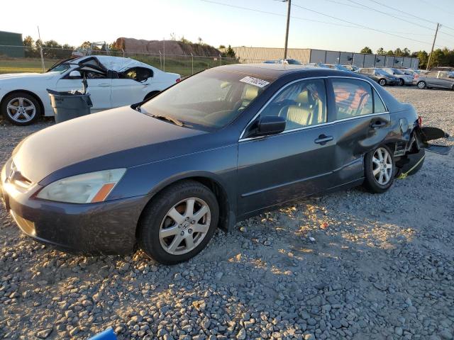 honda accord ex 2005 1hgcm66565a035913