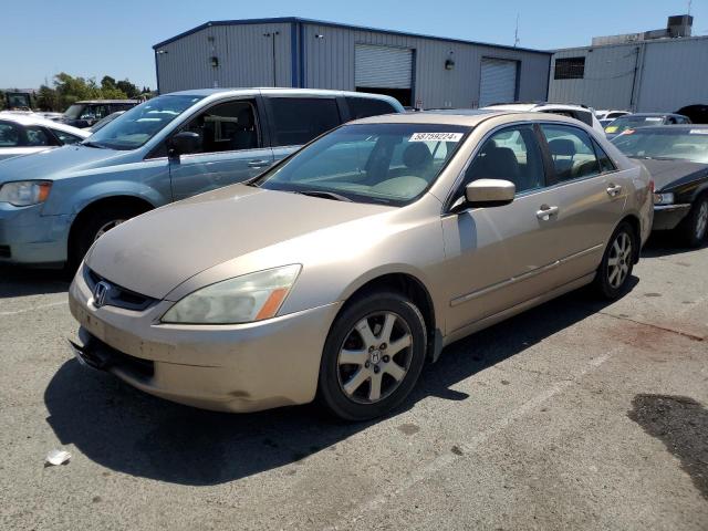 honda accord 2005 1hgcm66565a069043