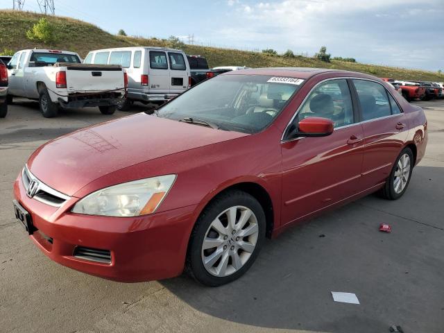 honda accord ex 2007 1hgcm66567a033646