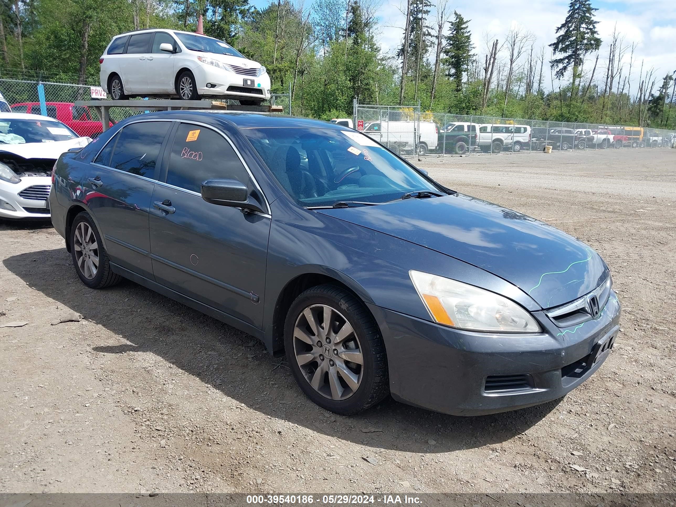 honda accord 2007 1hgcm66567a076853