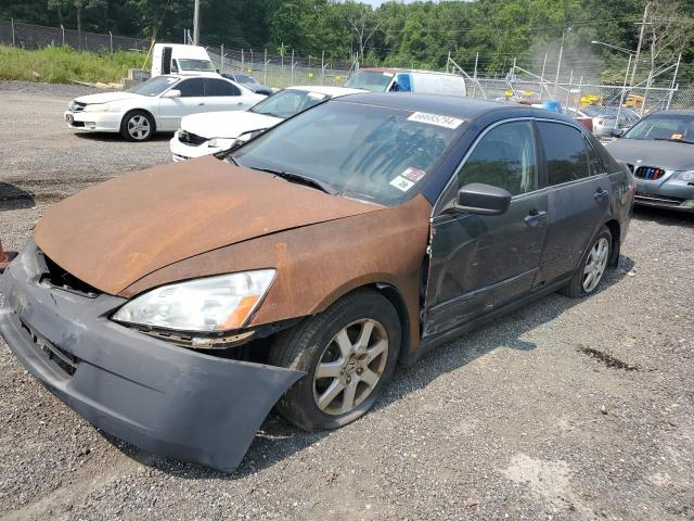 honda accord ex 2005 1hgcm66575a027335