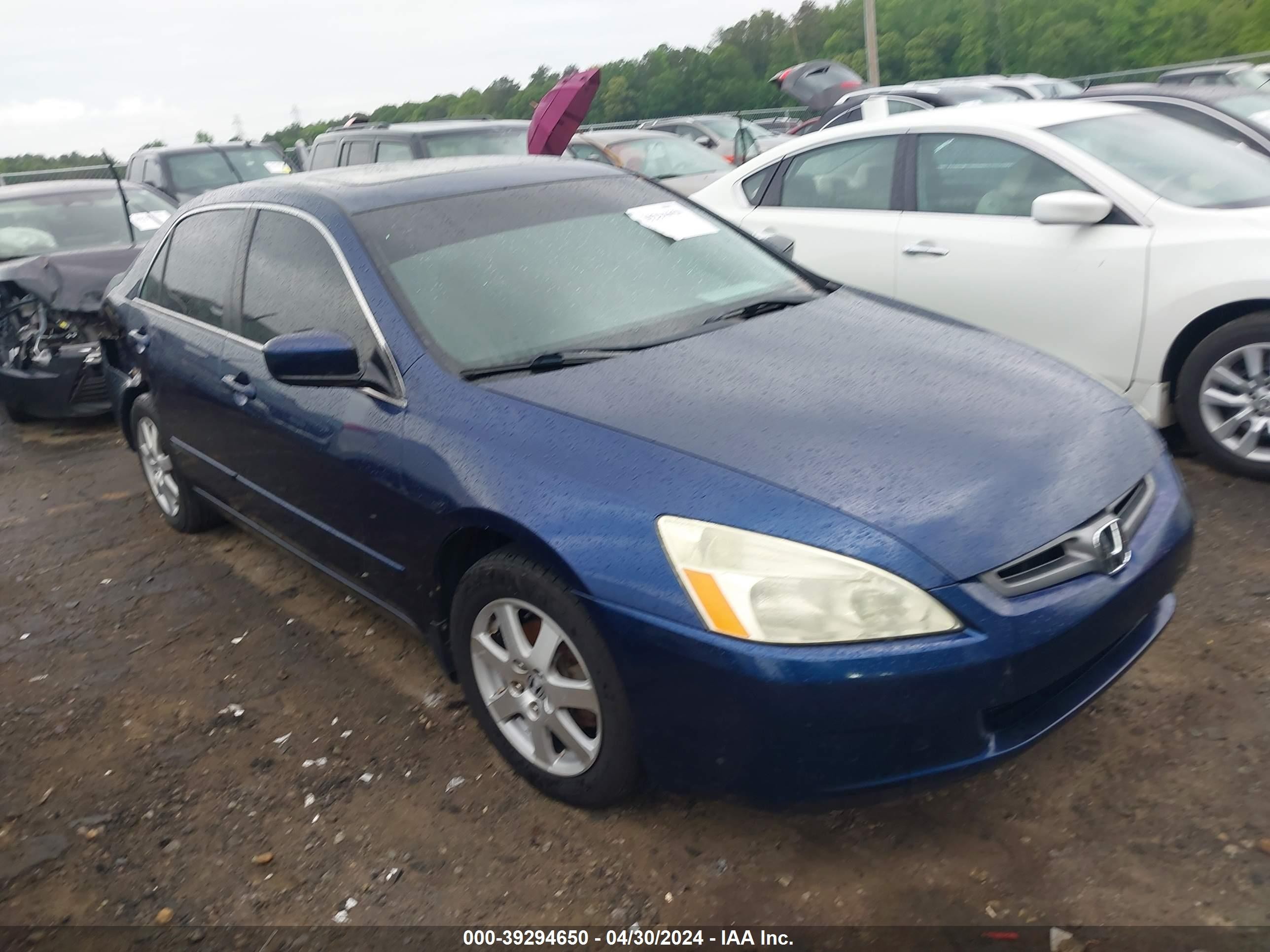 honda accord 2005 1hgcm66575a055605