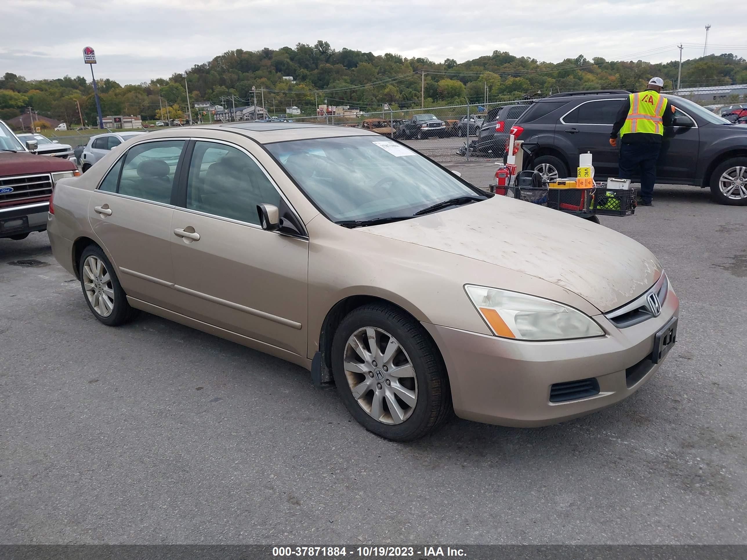 honda accord 2007 1hgcm66577a070303