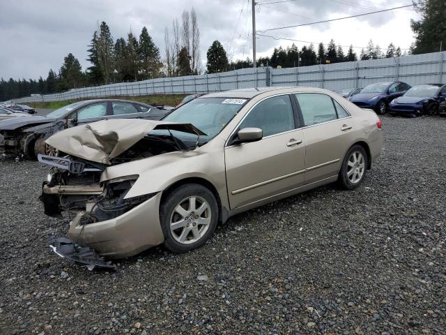 honda accord 2005 1hgcm66585a042054