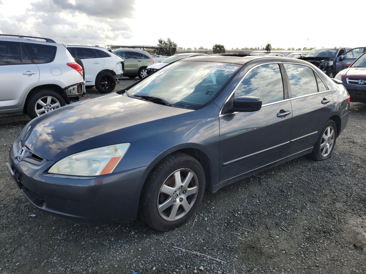 honda accord 2005 1hgcm66585a051515