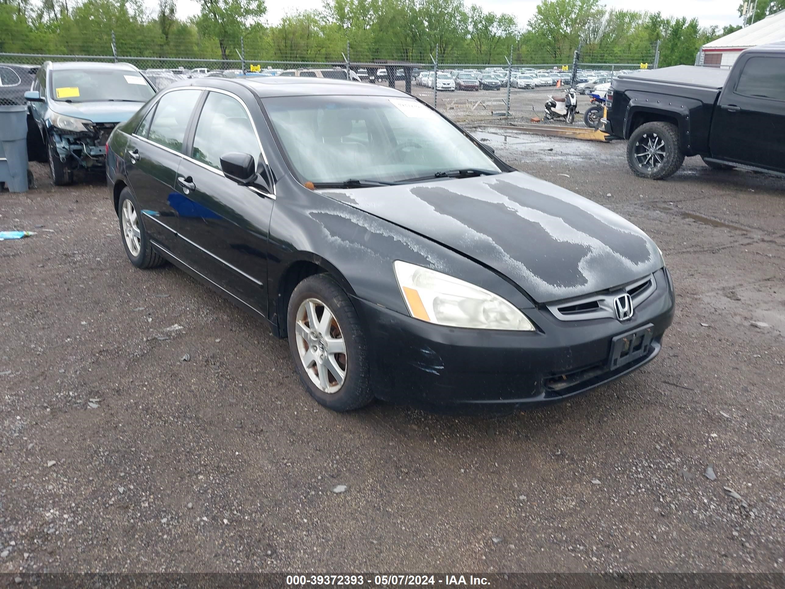 honda accord 2005 1hgcm66585a076379