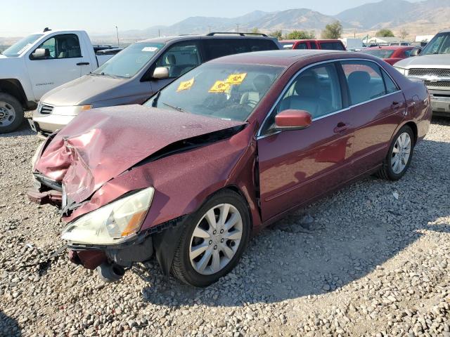 honda accord ex 2006 1hgcm66586a036062