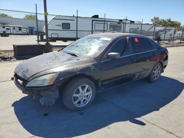 honda accord 2003 1hgcm66593a059832