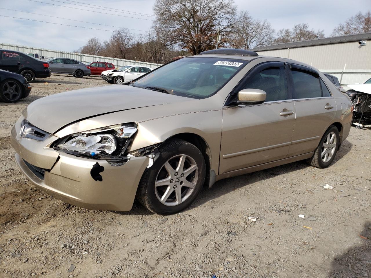 honda accord 2004 1hgcm66594a024306