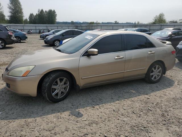 honda accord 2004 1hgcm66594a091049