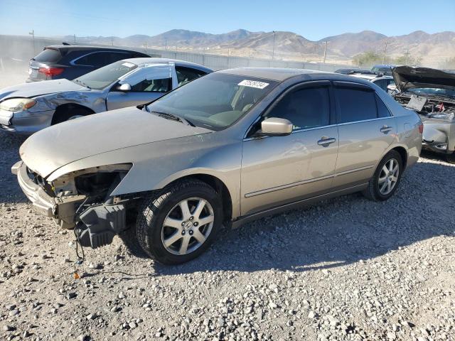 honda accord ex 2005 1hgcm66595a023271