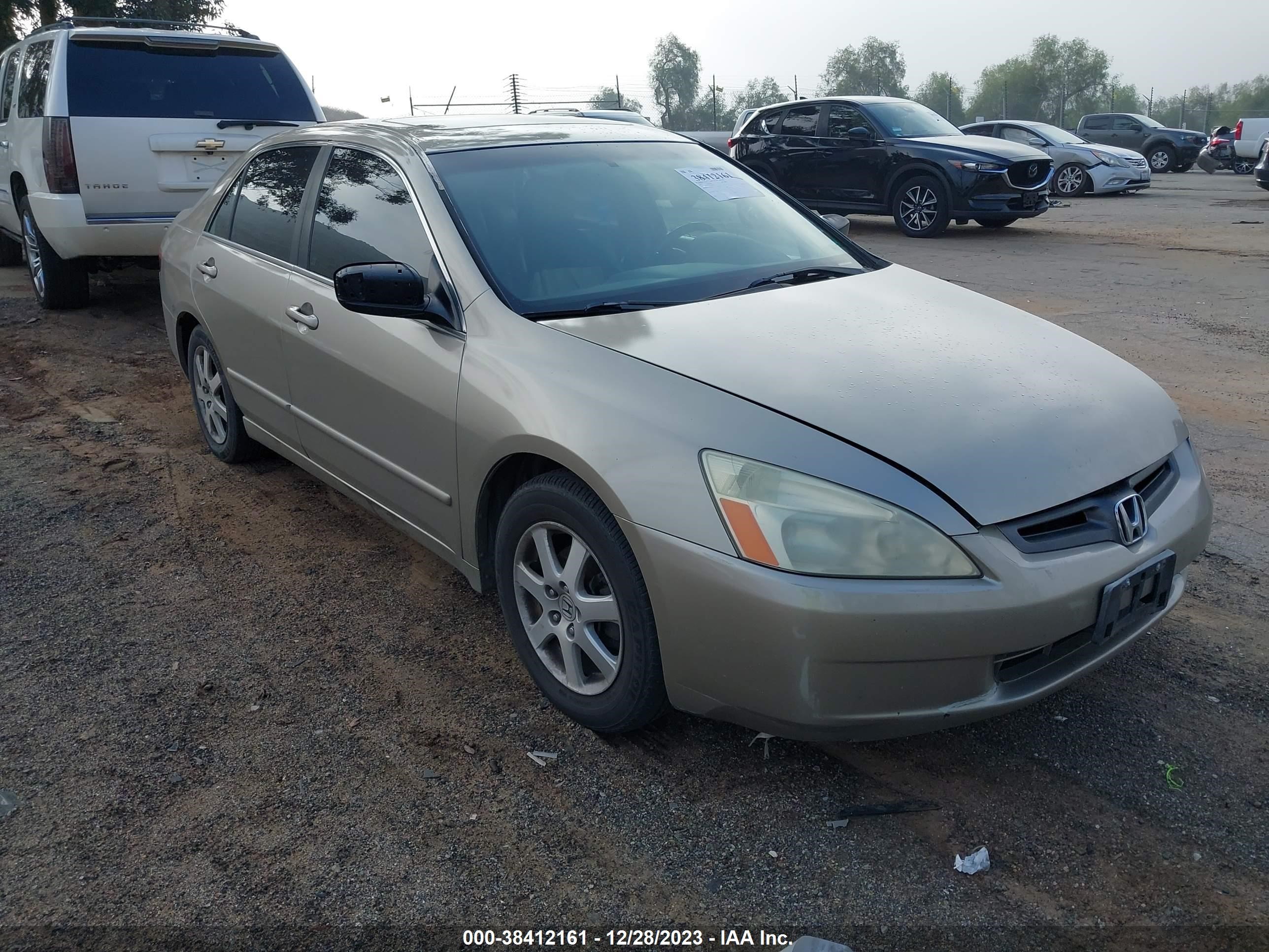 honda accord 2005 1hgcm66595a041253