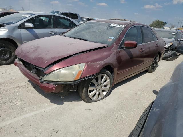 honda accord 2006 1hgcm66596a037656