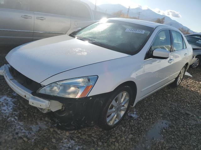 honda accord 2007 1hgcm66597a031759