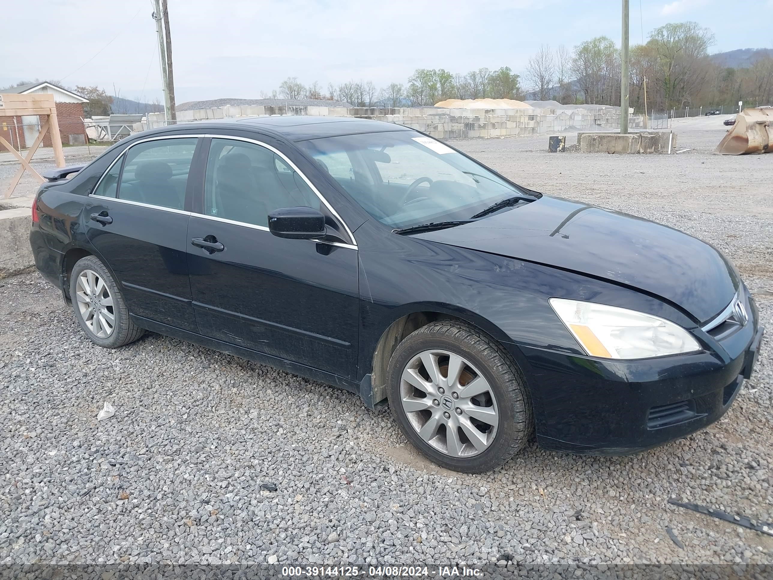 honda accord 2007 1hgcm66597a084557