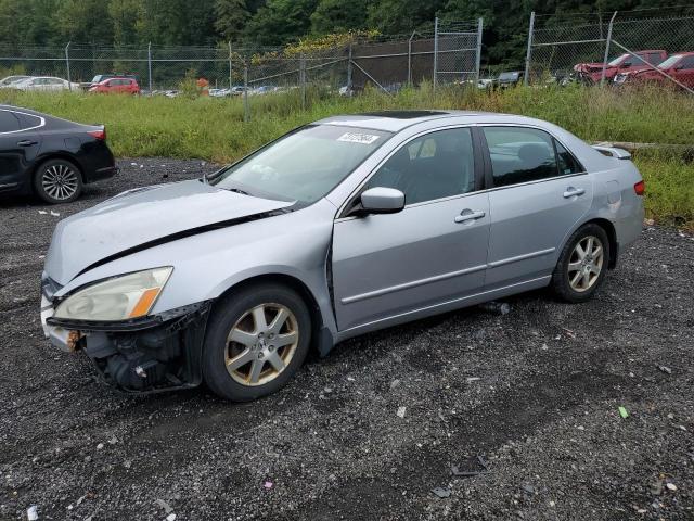 honda accord ex 2005 1hgcm66825a063752