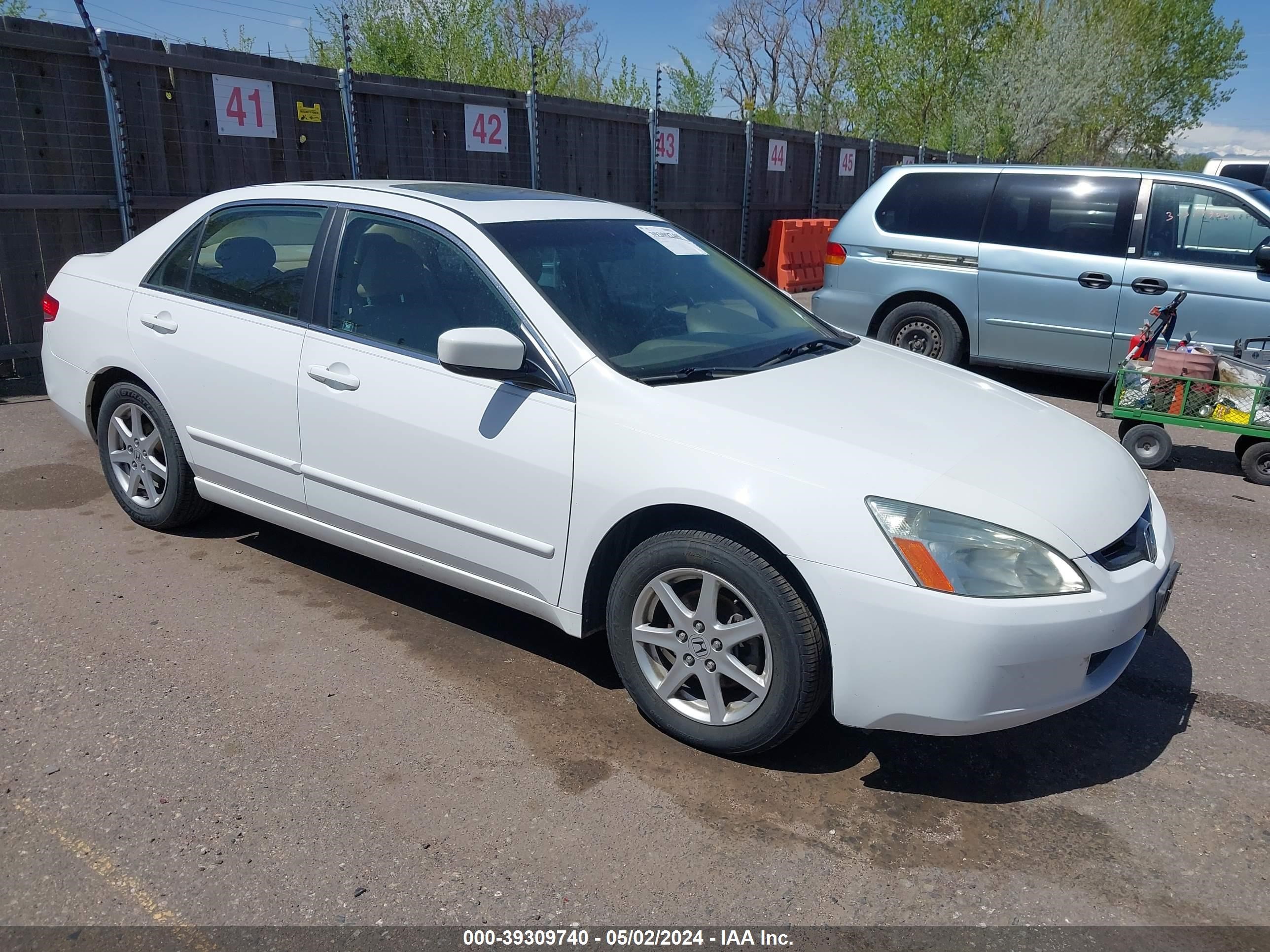 honda accord 2003 1hgcm66843a066598