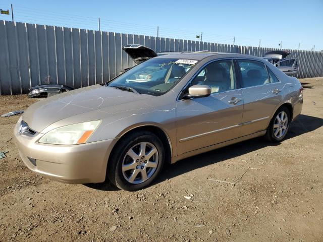 honda accord 2005 1hgcm66895a068074