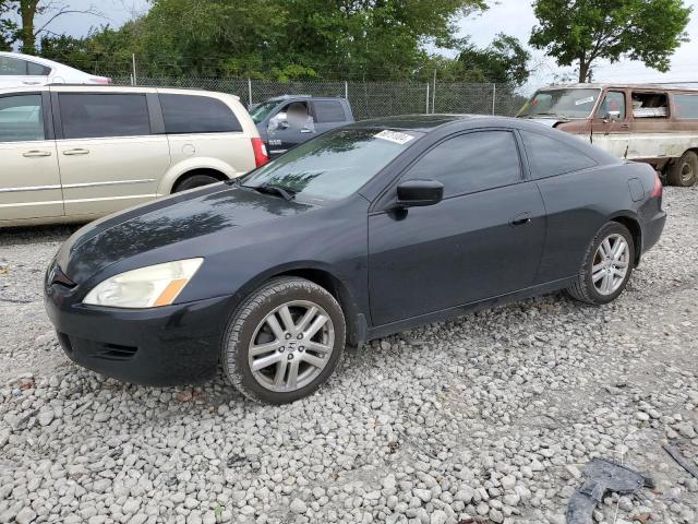 honda accord ex 2005 1hgcm81635a014450