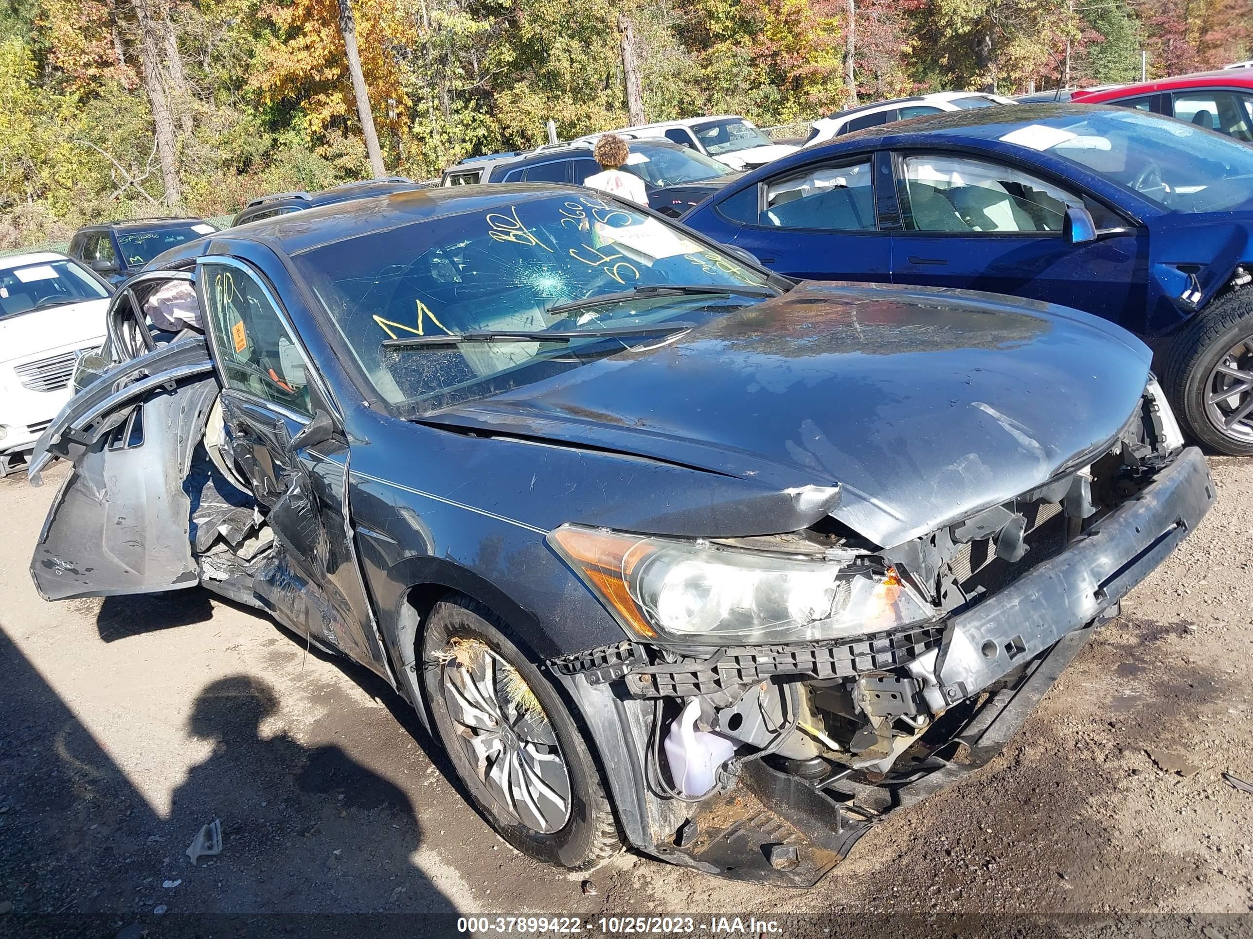 honda accord 2009 1hgcp26309a139995