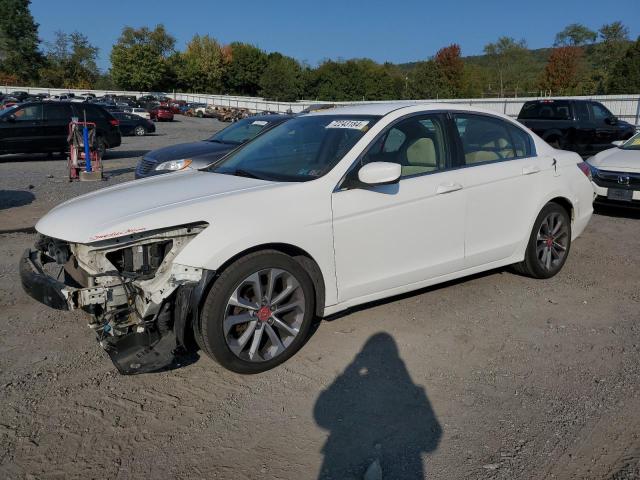 honda accord lx 2009 1hgcp26339a012111