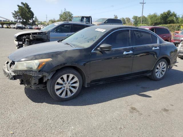 honda accord 2009 1hgcp26349a157562