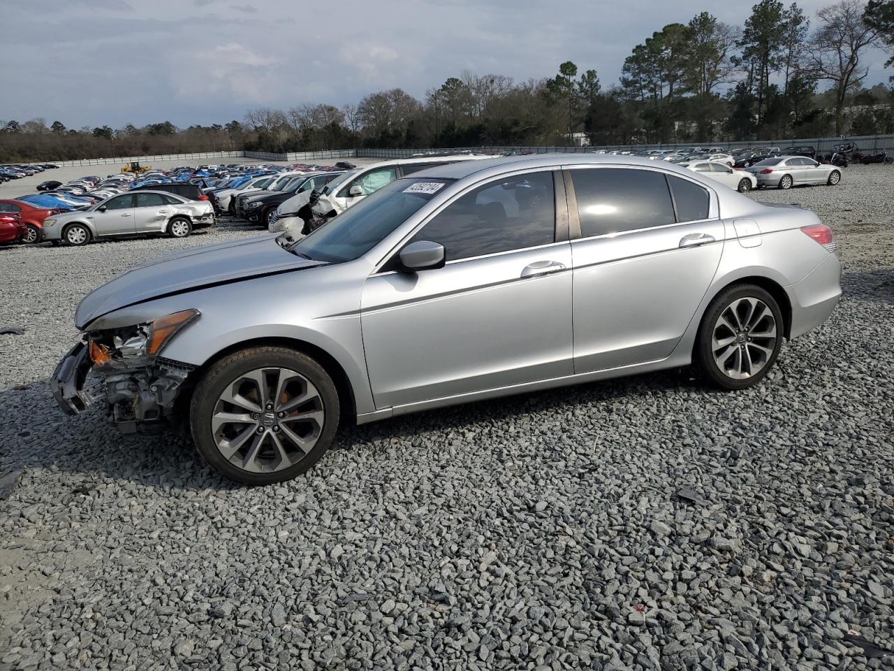 honda accord 2009 1hgcp26429a067867