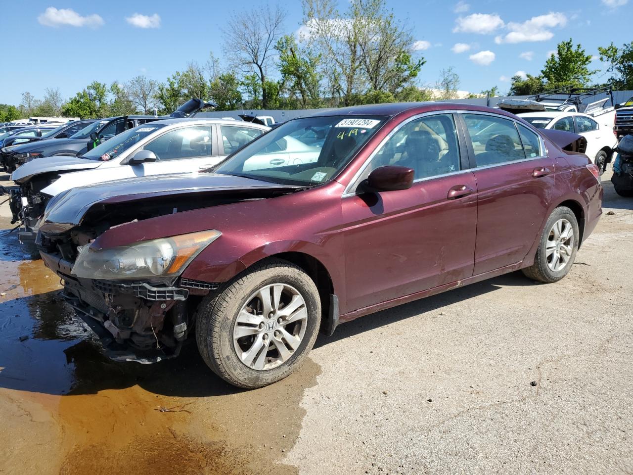 honda accord 2009 1hgcp26429a189399