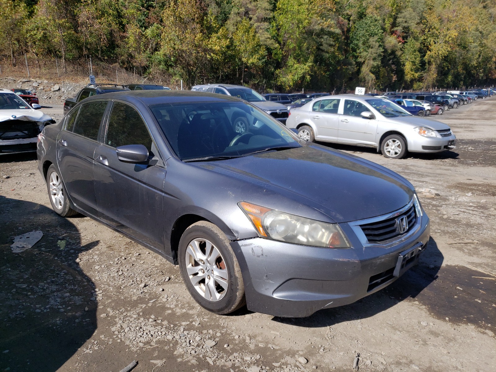 honda accord 2009 1hgcp26449a031789