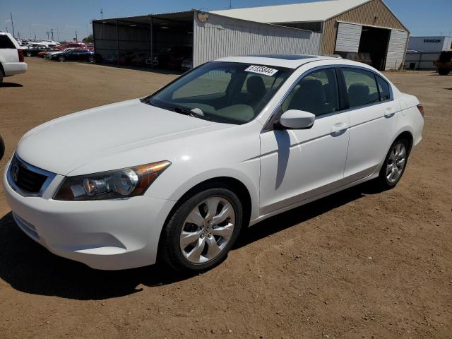 honda accord 2009 1hgcp26709a109172