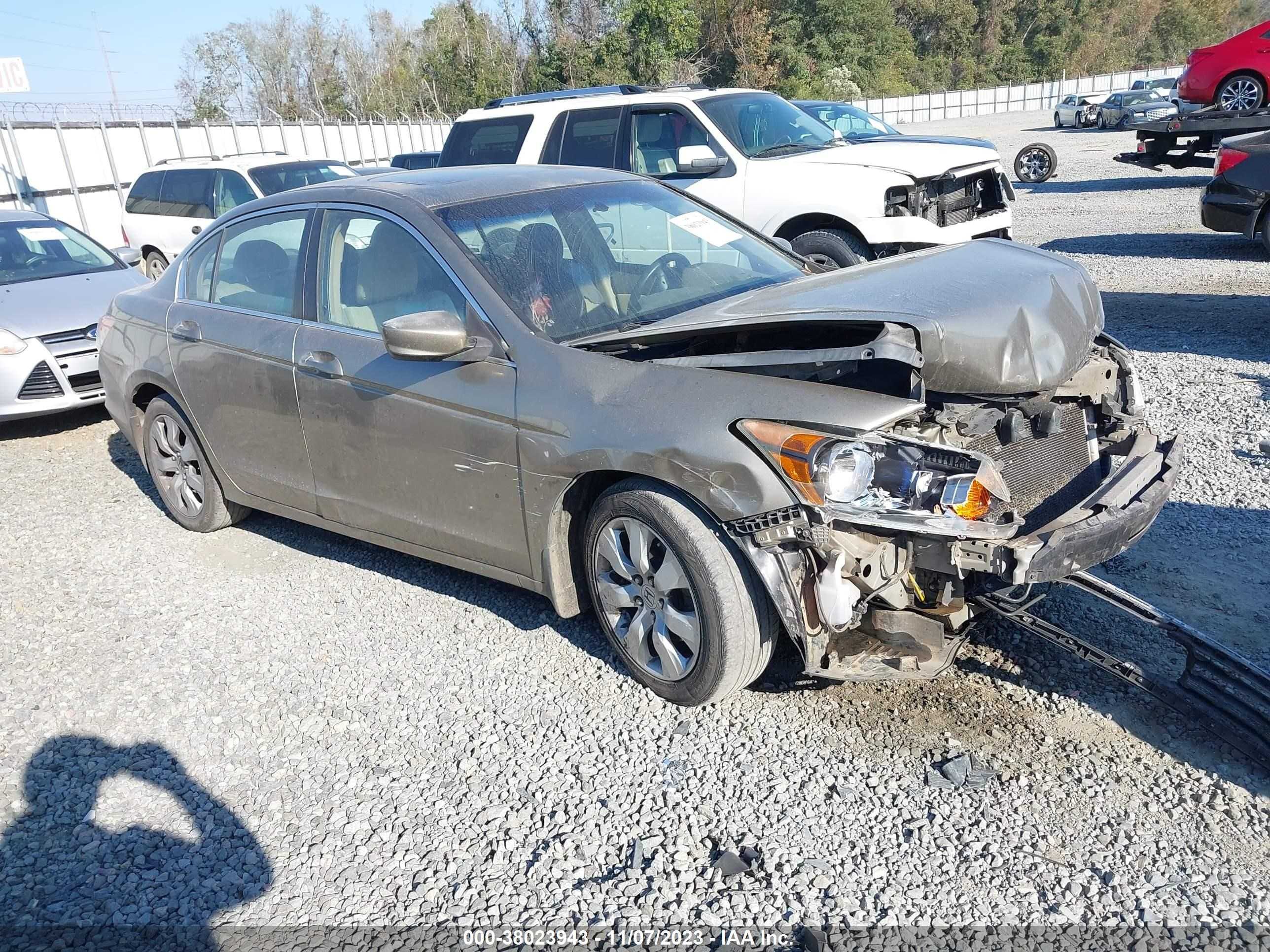 honda accord 2009 1hgcp26729a139659