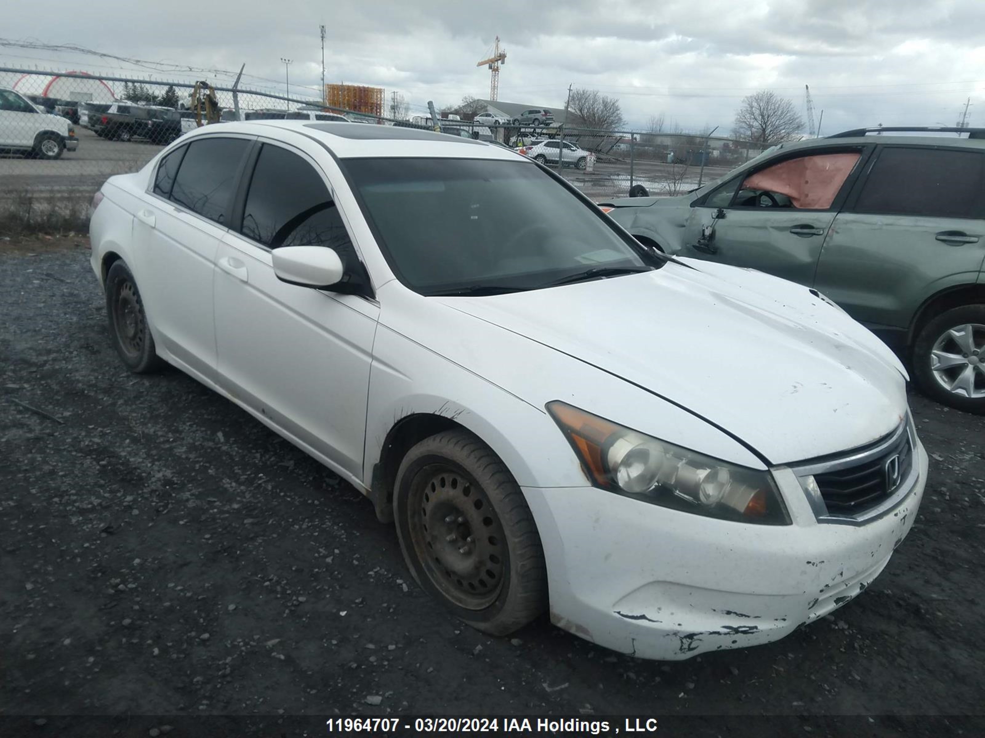 honda accord 2009 1hgcp26729a801353