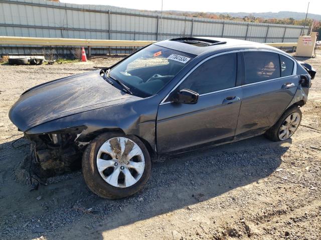 honda accord ex 2009 1hgcp26799a197977