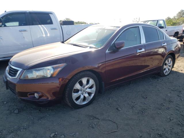 honda accord ex 2008 1hgcp267x8a135499