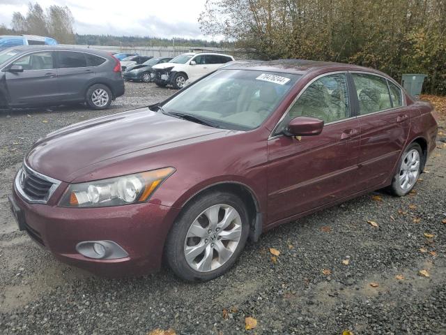 honda accord exl 2009 1hgcp26809a139331