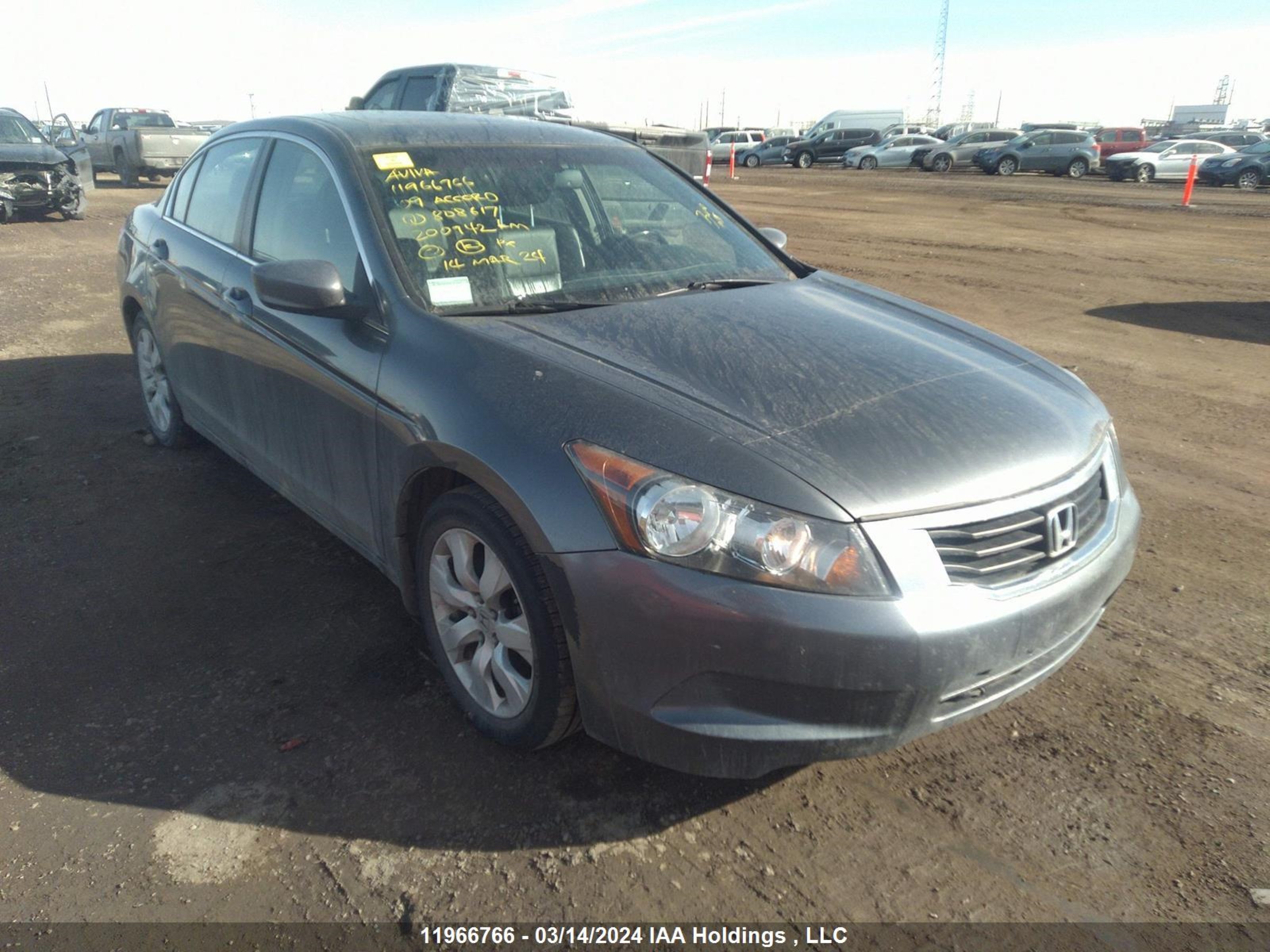 honda accord 2009 1hgcp26809a808617