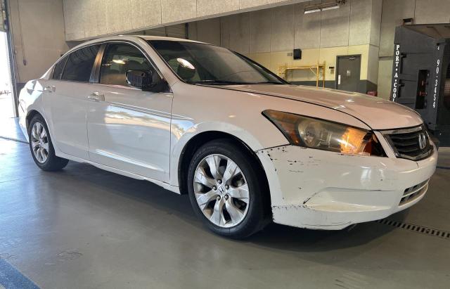 honda accord exl 2009 1hgcp26829a010782