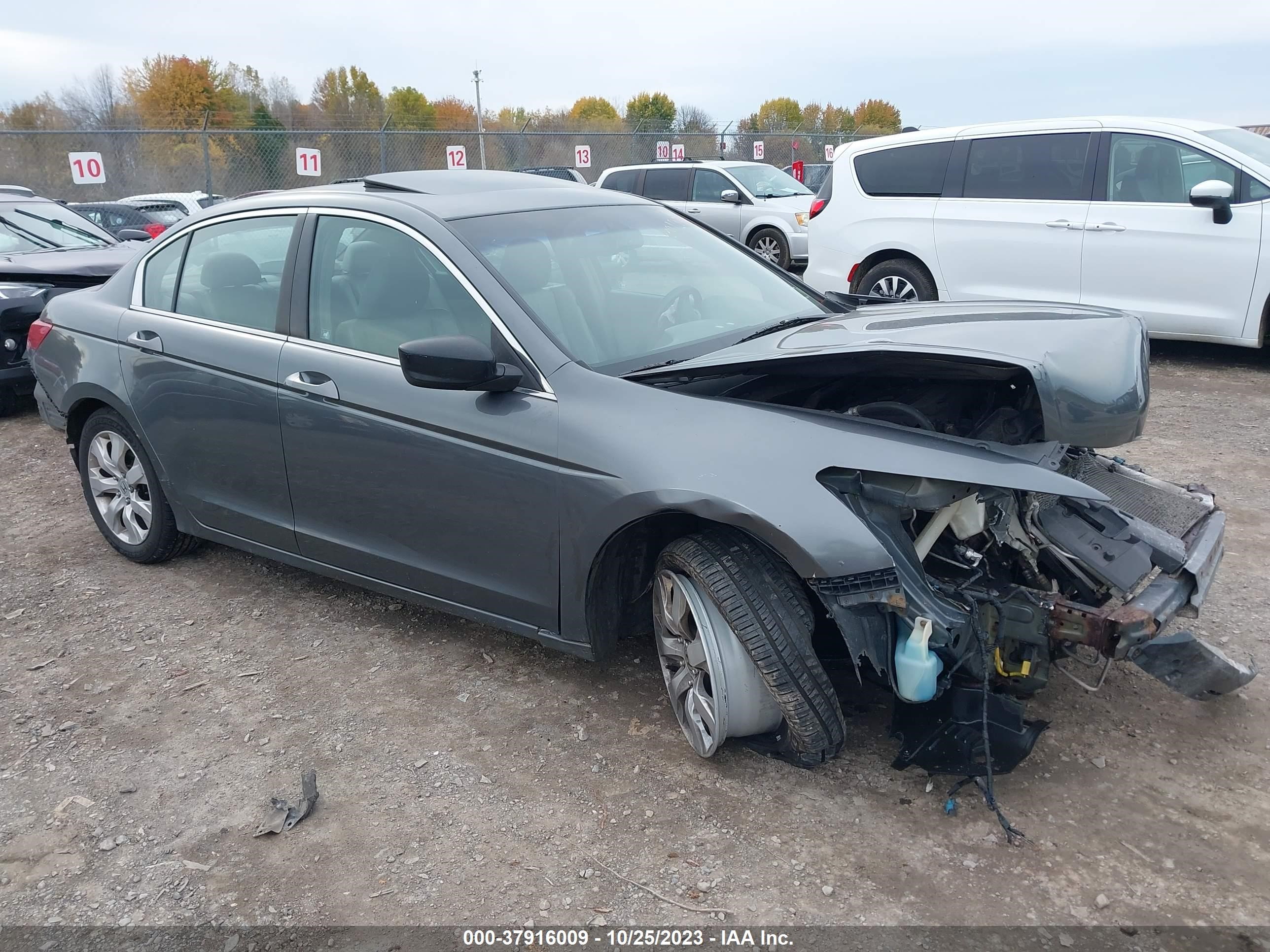 honda accord 2009 1hgcp26849a003168