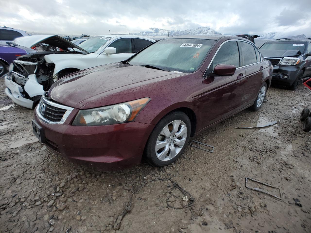 honda accord 2009 1hgcp26849a064729