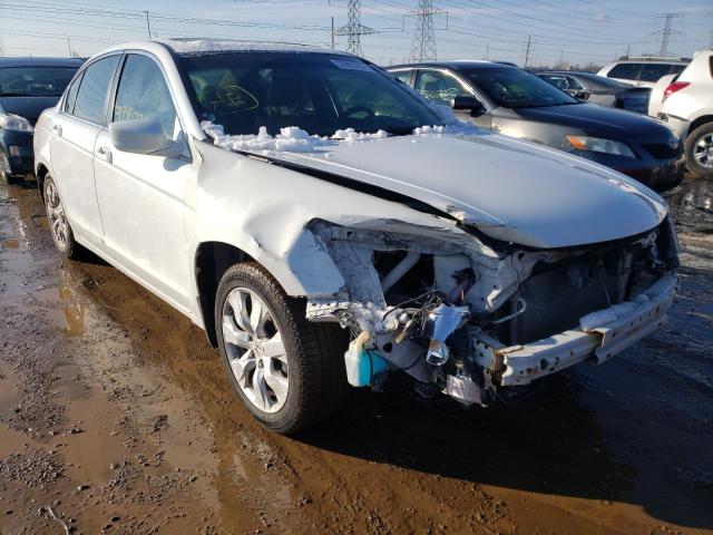 honda accord exl 2008 1hgcp26878a117907