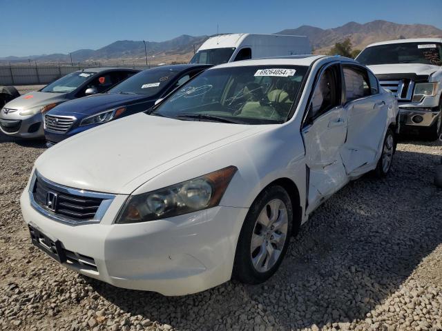 honda accord exl 2009 1hgcp26889a011743