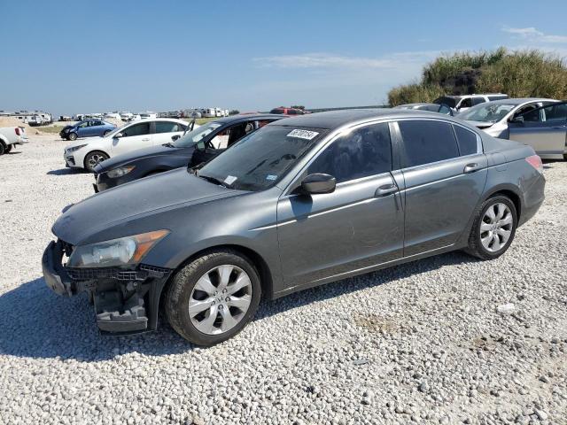 honda accord exl 2009 1hgcp26899a072163