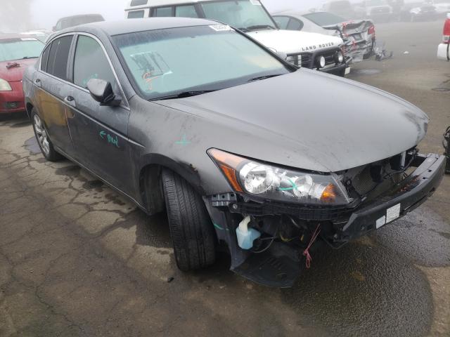 honda accord lx 2010 1hgcp2e37aa051855